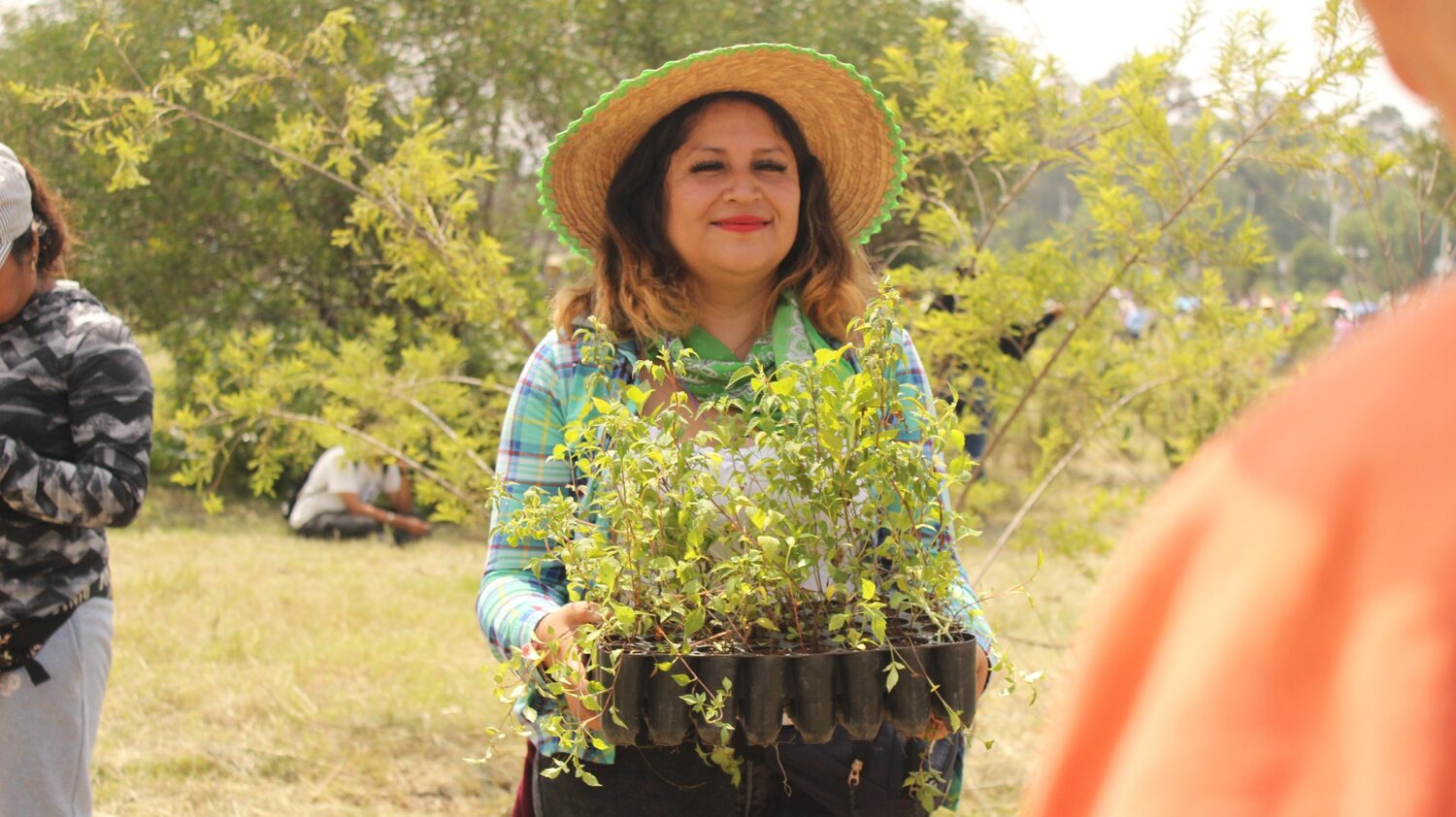 Aurora Corona sostiene plantas para una reforestación